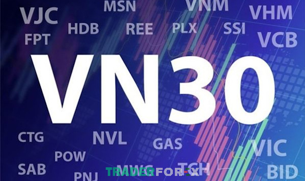 vn30-la-gi-4 Các tiêu chí đánh giá nhóm cổ phiếu VN30 được thực hiện mỗi năm 2 lần
