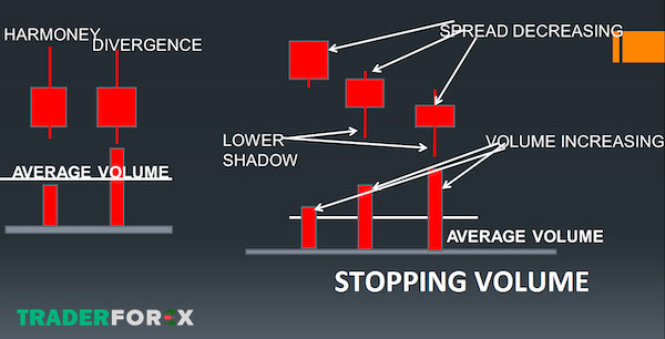 VSA có cách thức hoạt động như thế nào?