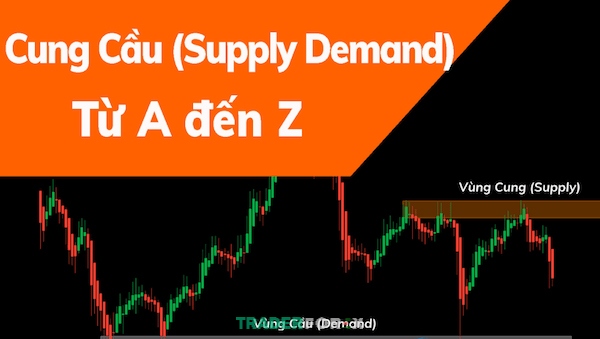 Vùng cung cầu cung cấp một khung nhìn về sự tương tác giữa lực cầu và lực cung trên thị trường