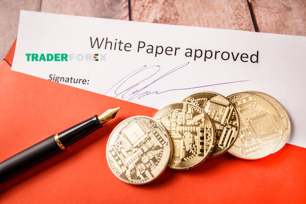whitepaper-la-gi-1 Chức năng và vai trò của White paper