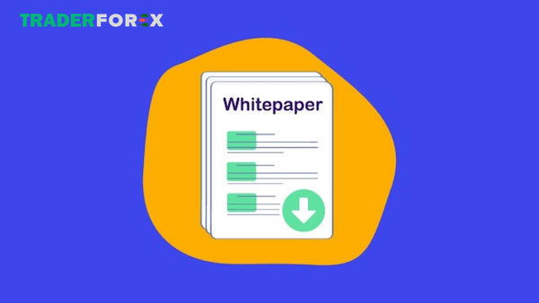 whitepaper-la-gi-15 Đưa ra những giải pháp cụ thể
