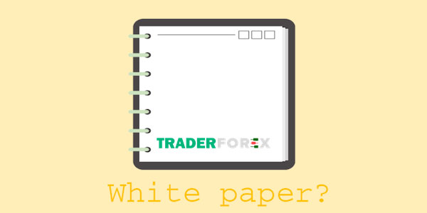 whitepaper-la-gi-16 Phân bổ nhân lực thực hiện
