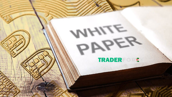 whitepaper-la-gi-17 Sự khác biệt giữa white paper và lite paper