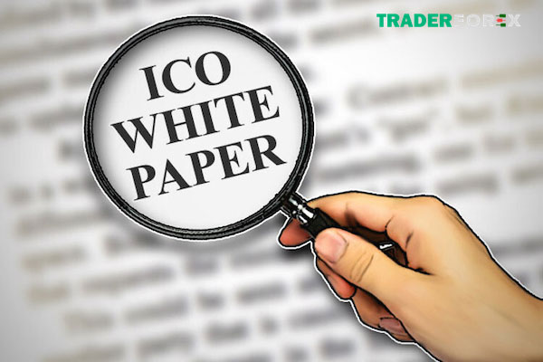 whitepaper-la-gi-18 Giải đáp một vài nghi vấn liên quan đến Whitepaper