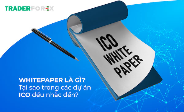 whitepaper-la-gi-2 Mối liên hệ của Whitepaper và gọi vốn