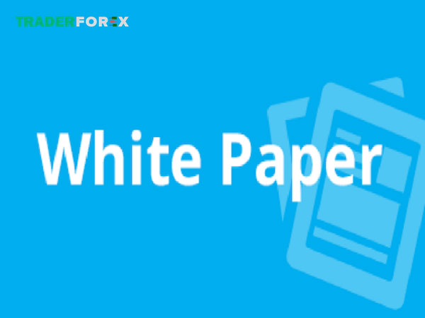 whitepaper-la-gi-3 Khái niệm White Paper là gì?